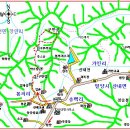 용소골양계장 Daum카페