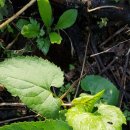 굿마루농장 이미지