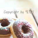 황금도너츠