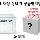 성지수입 이미지