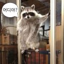 정곡 이미지