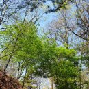 한솔뜰근린공원 이미지