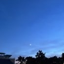 소나무 숲 리조트 이미지