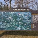 삼가초등학교 앞 이미지