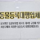 도로시 펫 이미지