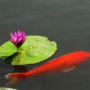 반성다방