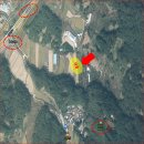 대나무골농장 이미지