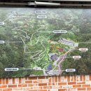 동양기획디자인 | 강화 씨사이드리조트(강화루지) 예약 가격 및 코스 비교 후기 (할인, 주차, 반려견 동반)
