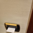 그라찌에커피전문점 | [신혼여행/4일차] 이탈리아 기본 회화(인사말 등), 호텔 플라자 베니스 메스트레, 베니스 Da Michele