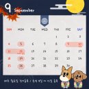 멍냥이꼬까