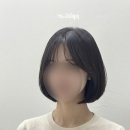 리피헤어