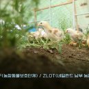 화해농장 이미지