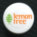 레몬트리 이미지