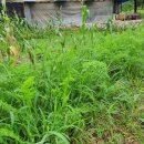 권관농장 이미지