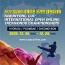 슈퍼 아이 태권도 이미지