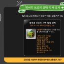 페어리스토리