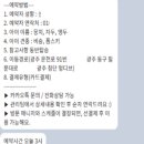뭉치펫택시 이미지