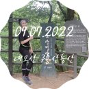수서역 대여소 | 09.07.2022. 초보 등린이 대모산~구룡산 등산기 (대모산입구역~대모산~구룡산~양재시민의숲역)