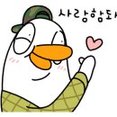 스플래시리조트 이미지