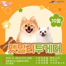 oh my dog(오마이독) | [출강 후기] 충북에서 함께한 구석구석 문화배달 &lt;펫밀리투게더&gt;