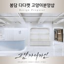 다다캣 네이버블로그