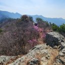 바다와산 이미지