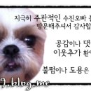 동남천막 이미지