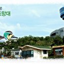 희망비젼