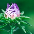 행복한휴식 이미지