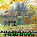 Engelbert Humperdinck - Release Me (Let Me Go) 이미지