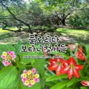 플로리다 게인즈빌 보타니컬가든/ Kanapaha Botanical Gardens