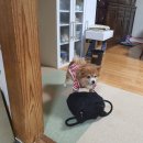 마루민박 이미지