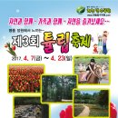 튤립 이미지