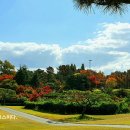 경주신라컨트리클럽 이미지