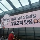 청주 과일모찌 맛집 모찌대왕 가경점 대전신세계 팝업 방문후기