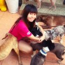 개토피아 이미지