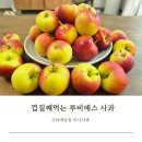 육남매농장 | 껍질째 먹는 사과 루비에스 미니사과 라운딩 간식으로 좋은 미니사과 내돈내산 구매 후기