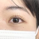 보리네김밥 | 건대 속눈썹펌 보리네눈썹가게 | 깔끔한 컬링에 모 끝까지 탱글탱글