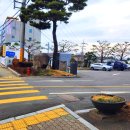 옥포읍사무소 이미지