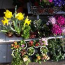 성남중앙병원 이미지