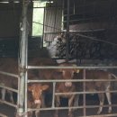 이상만농장 이미지