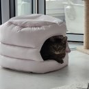 박건강