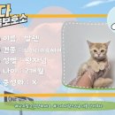 발렌헤어 이미지