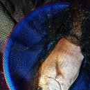 안양바다낚시터 이미지