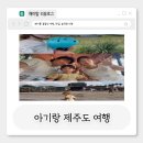 동류암로 | <제주 여행> 아기랑 제주도 여행 에코랜드,졸띠승마 자세한 후기