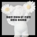 몸과 마음의 균형, 아로마테라피 네이버블로그