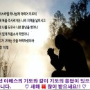 2022 01 02 1월 첫째주일 소망의 기도문 이미지