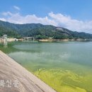 초록 태양광발전소 이미지