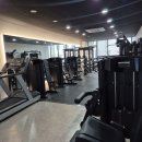 머슬원핏 배곧신도시점 이미지