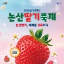 맛보고 투어코리아